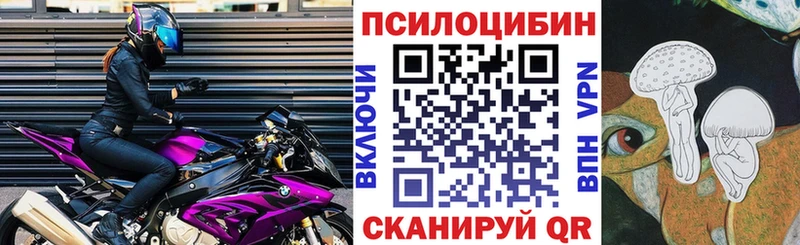 Псилоцибиновые грибы мицелий  Купить где  Торопец 