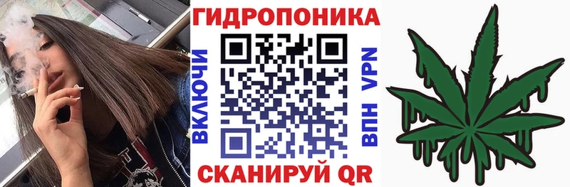 Купить  Торопец  Бошки Шишки MAZAR 